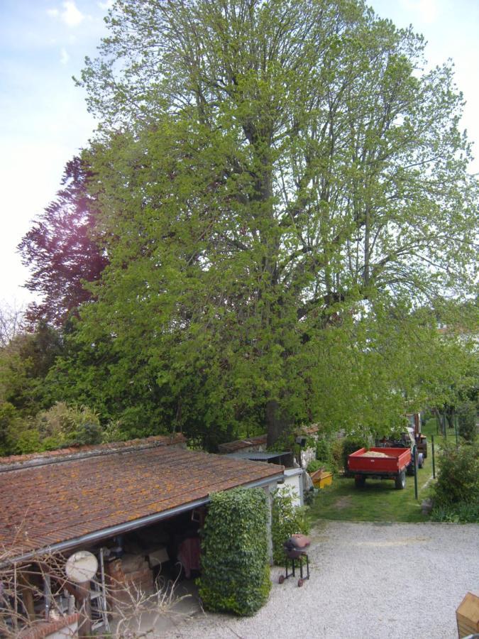 Gite Du Vieux Tilleul Fere-en-Tardenois Exterior photo